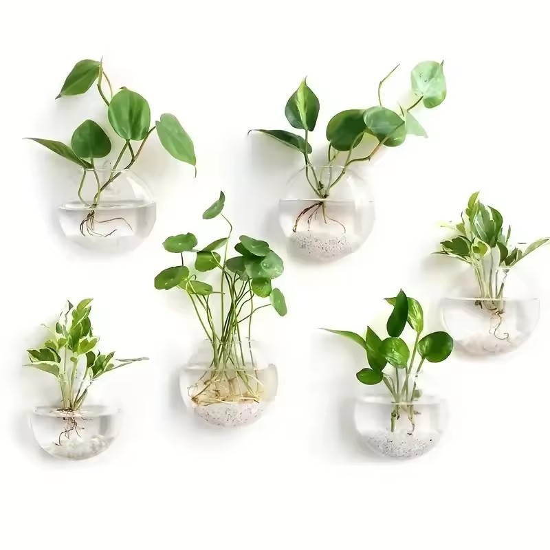 Self-Watering Planter - กระถางแก้วแขวนผนังแบบชุด 2/4/6 ชิ้น - กระถางปลูกพืชแบบไฮโดรโปนิกส์พร้อมระบบรดน้ำอัตโนมัติ สำหรับตกแต่งบ้านและสำนักงาน