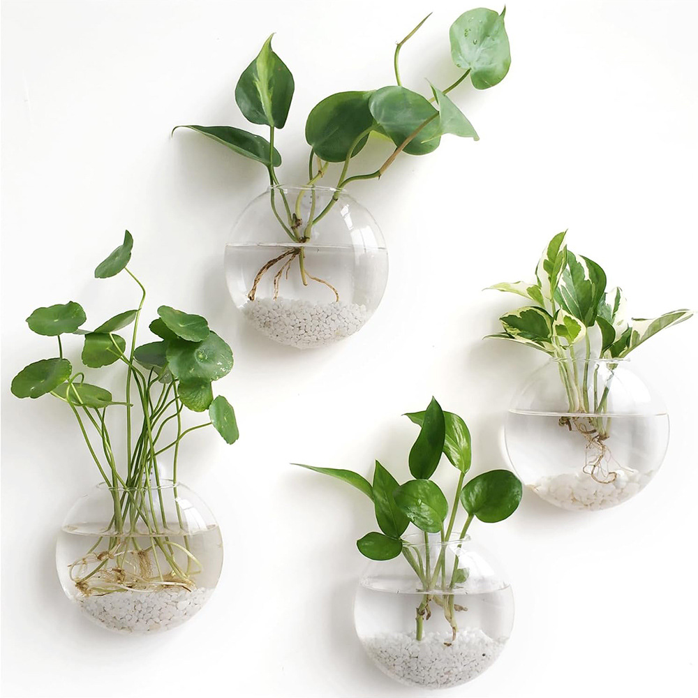 กระถางแก้วแขวนผนังแบบชุด 2/4/6 - Self-Watering Planter บทวิจารณ์และราคา